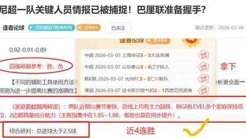 大乐透期号专家质合分析：埃弗斯堡VS马格德堡推荐